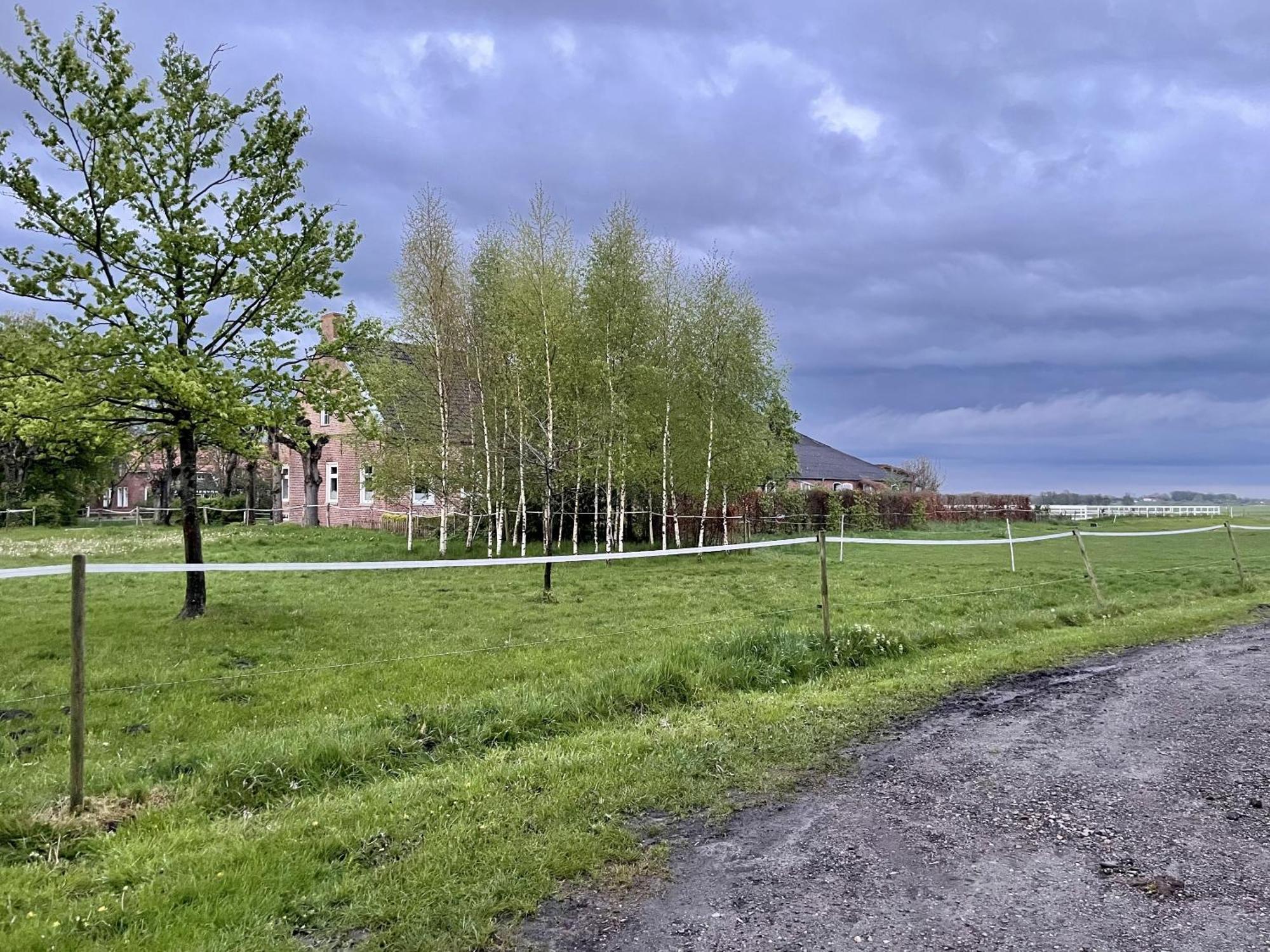 Steinhaus Hof Bunde (Lower Saxony) Exterior foto