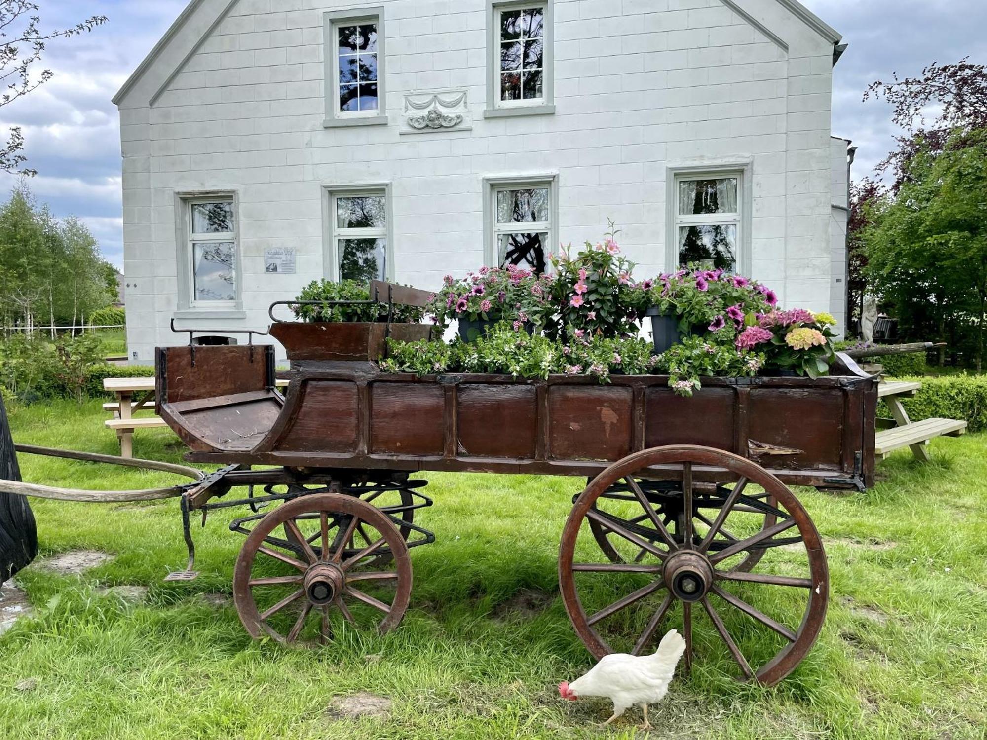Steinhaus Hof Bunde (Lower Saxony) Exterior foto